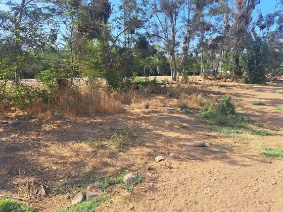 Venta De Parcela En El Olivo, La Calera (102018)