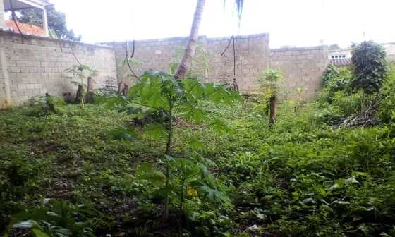 Venta De Terreno En Tacarigua De Mamporal 500mts