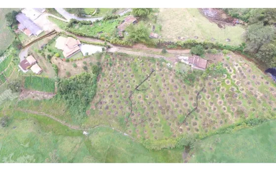 Finca En Venta En Marinilla