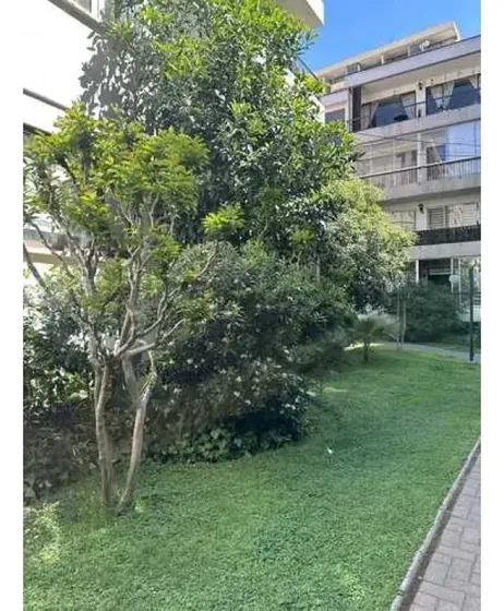 Departamento En Providencia/ Holanda