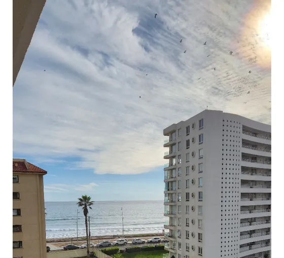 La Serena, Avda Del Mar, Depto. X Días O Meses