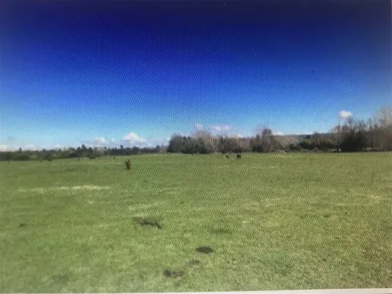 Agrícola En Venta En Pitrufquén