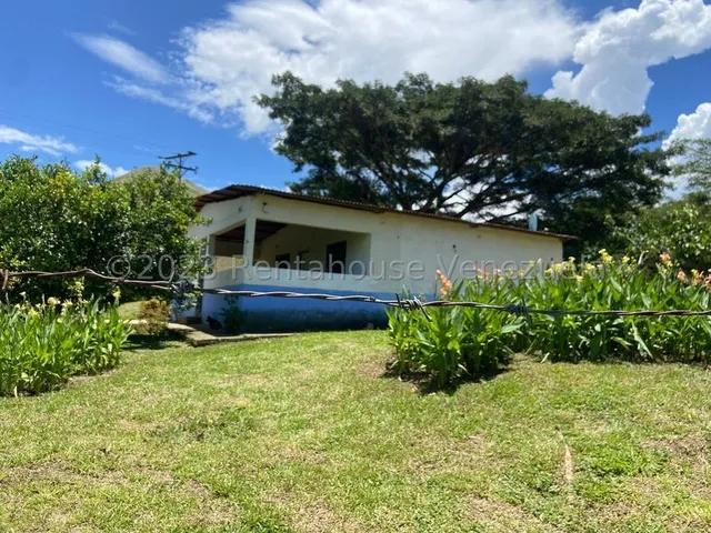 Yonny Silva Rentahouse Carabobo Vende Excelente Finca Agropecuaria En Belen Carlos Arvelo Guigue Rcys 24-7450