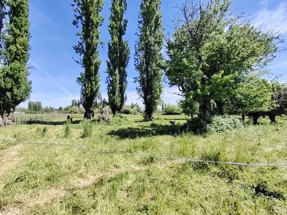 Parcelas En Venta Sector Mortandad, Norte De Los Ángeles