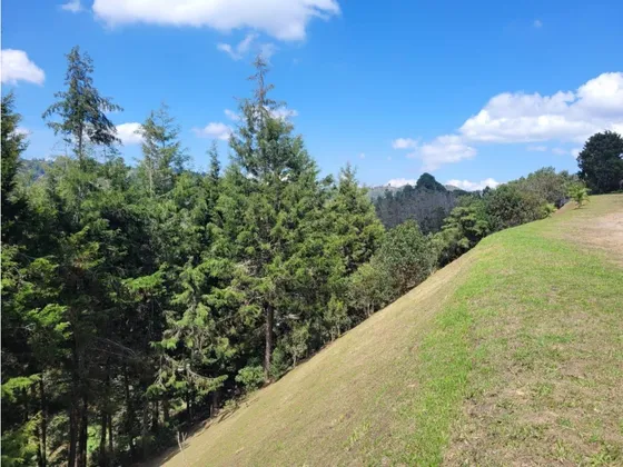 Espectacular Lote En Venta Guarne 