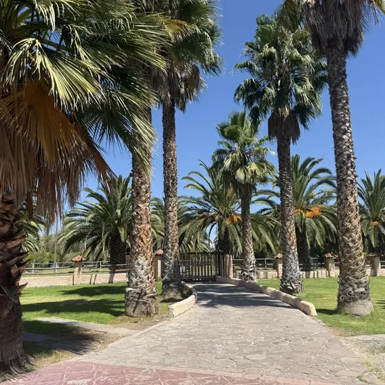 Gran Oportunidad En Colina: Parcela De Ensueño Con Piscina