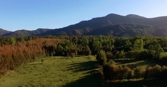 Sitio En Venta En Villarrica