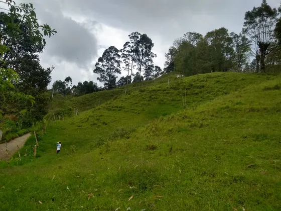Finca En Venta En Vía La Florida/pereira (279060579).