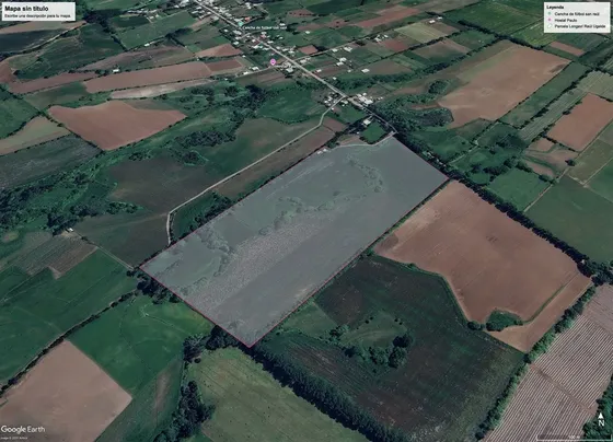 Agrícola En Venta En Longaví