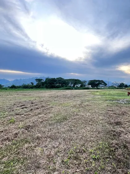 Terreno En Venta En El Pueblo De San Diego, 62 Mil Metros, Se Puede Vender Por Lotes. Tiene Zonificacion (nd) Nuevos Desarrollos. Cv