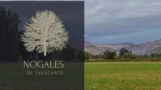 Última Parcela De Agrado En Talagante