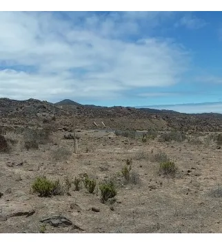 Oportunidad Terreno Playa Chungungo Cerca Reserva Humboldt