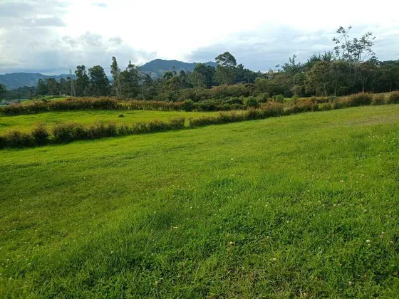 Lote En Venta Ubicado En La Ceja Sector Vereda El Yarumo (24118).