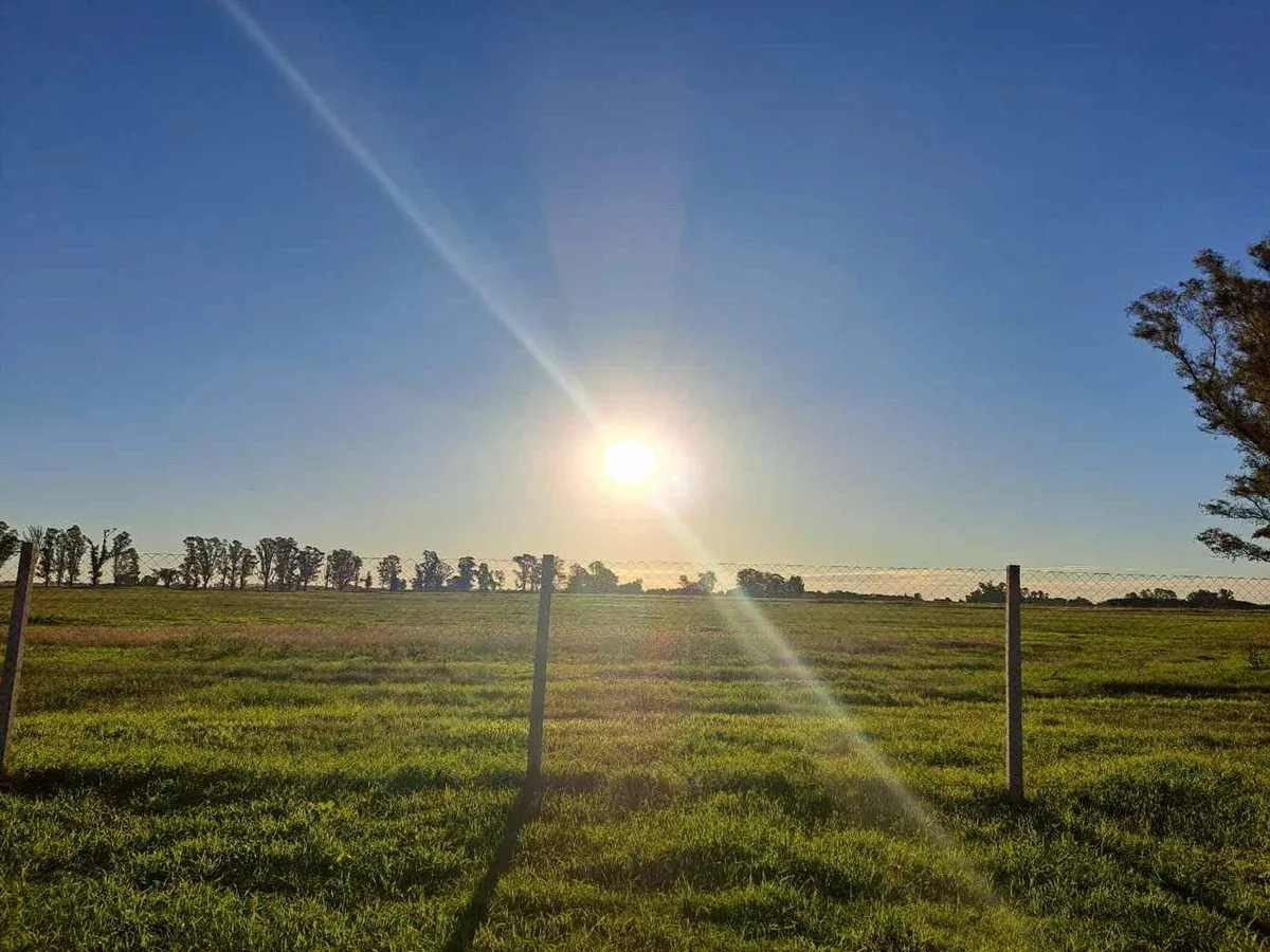 Land for Sale in Tres Pinos, Barrio Norte