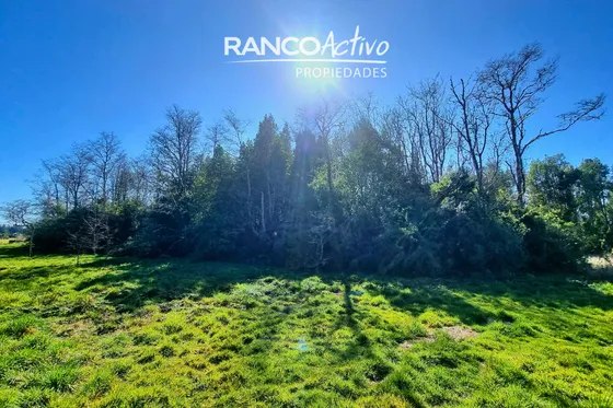 Parcela En Venta En Frutillar