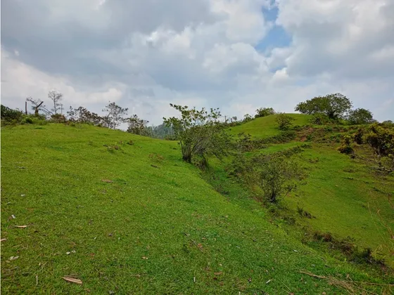 Casa Lote Para Desarrollo Turistico En El Peñol, Antioquia