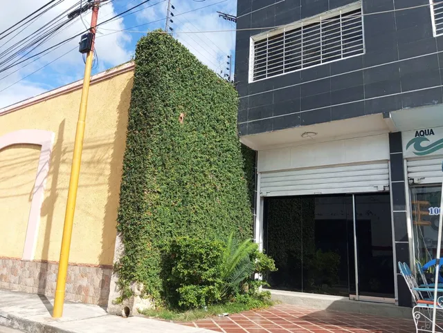 Alquiler Local De 2 Niveles A Pie De Calle San Blas Valencia Mp Solo Clientes