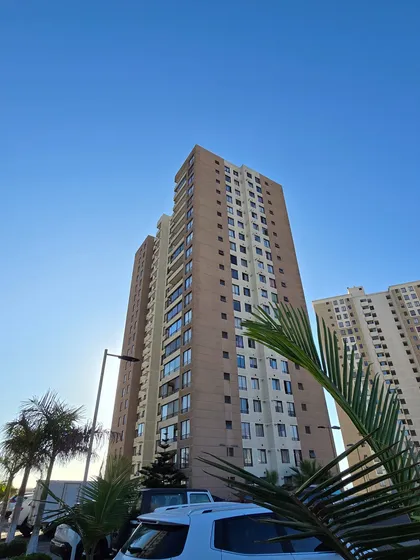 Terramar Ii 3d2b1e1bo Depto Cálido Vista Al Mar