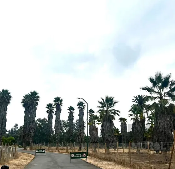 Vendo Hermosa Parcela El Oliveto Con Lonquen Sur, Talagante