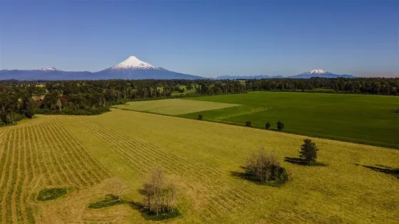 Terreno En Venta En Puerto Octay