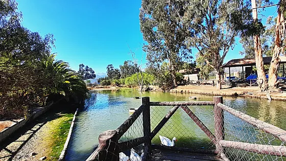 A 20 Min De Zapallar - Condominio La Foresta De Zapallar