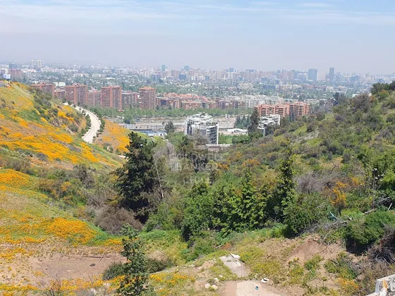 Gran Terreno Con Potencial Para Proyecto Inmobiliario!
