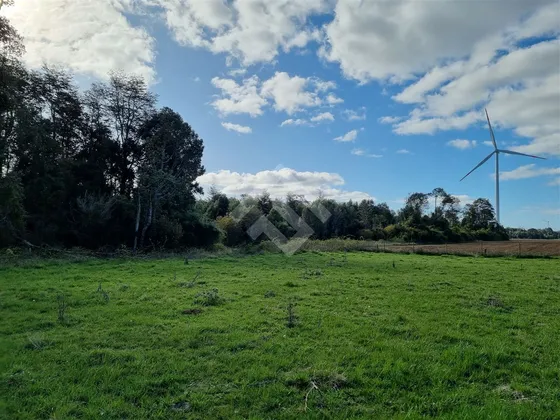 Sitio En Venta En Brisas De Loncotoro Llanquihue