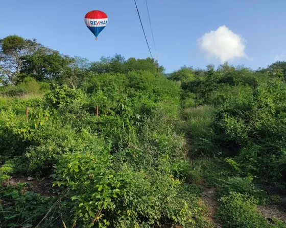 Excelente Terreno En La Población De Tacarigua En La Isla De Margarita, Nueva Esparta 