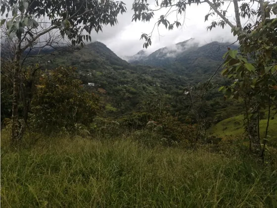 Lote En Venta Sector La Milagrosa  -  Cocorná