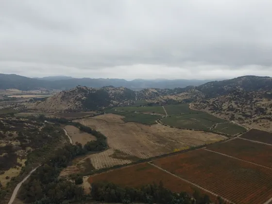 Increíble Campo En Pencahue Con Agua