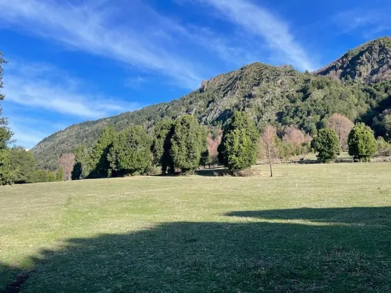 Campo 9,14 Ha En Curacautín Sector Manchuria - Río Blanco