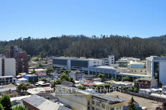 Departamento En Concepción Centro Cercano A Univer...