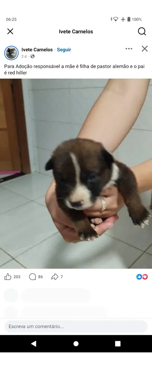 Envio Ml435264081364275200