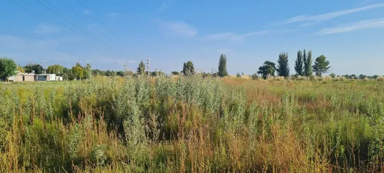 Lote En Venta  En  Tunuyán-mendoza- 2,5 Has