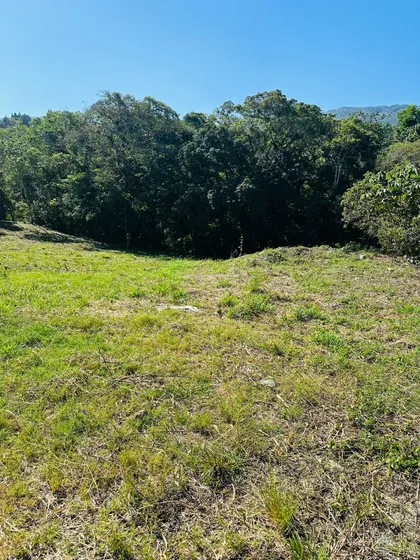 Solar En Venta En Jarabacoa Cerca De Un Arroyo