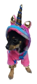 Perro vestido de unicornio sale