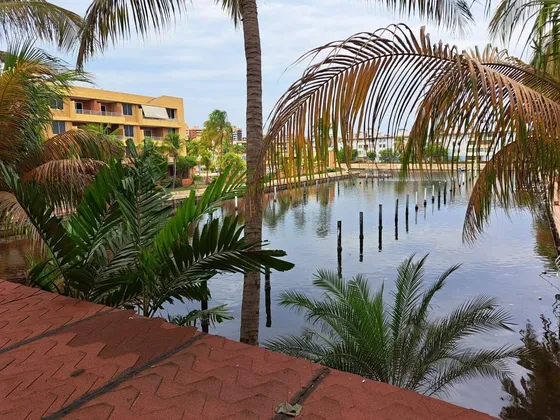 Apartamento En Alquiler Las Marinas 