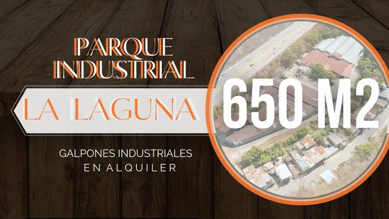 Galpon Industrial En Alquiler 650 M2