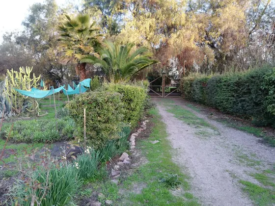 Parcela Con Vivienda Unifamiliar,  Piscina Arboles Frutales