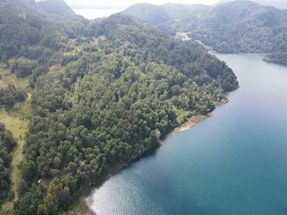 Agrícola En Venta En Panguipulli-pullinque