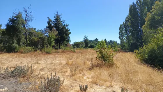 Vendo Parcela Camino Cerro Colorado 