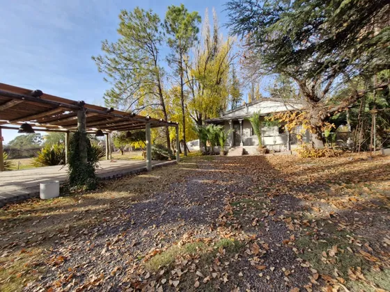 Alquiler Comercial  Casa Antigua En Predio De 3800 M². Ideal Restaurante O Para Eventos Diurnos.