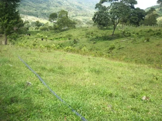 Finca En Venta En Ragonvalia. Cod V14316