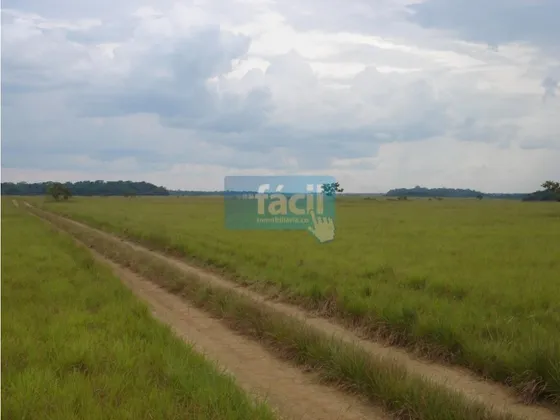 Finca Cumaribo-malicia Baja-vichada Precio En Millones De Pesos