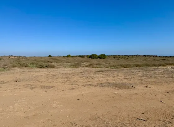 Increible Sitio En Primera Linea, Guanay