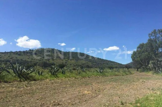 Venta 2 Terrenos En Jolalpán, Tepetlaoxtoc, Texcoco, Edo. De México C3021
