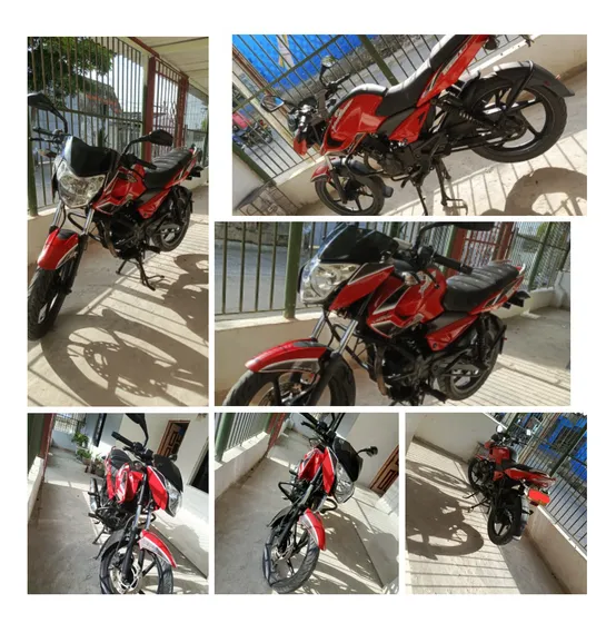 Rojo