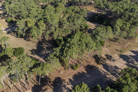 Lote En Venta Pinamar Bosques Lote En Venta Pinamar Bosques