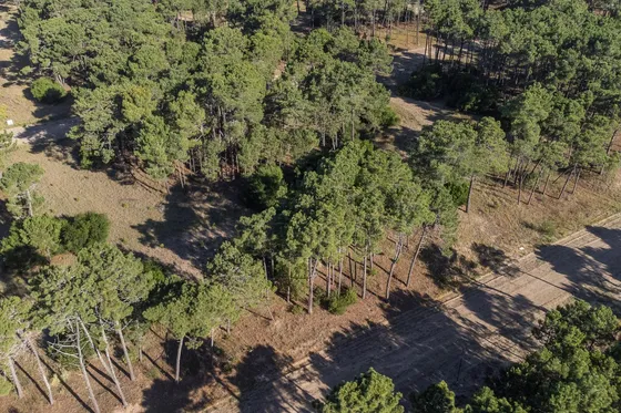 Lote En Venta Pinamar Bosques