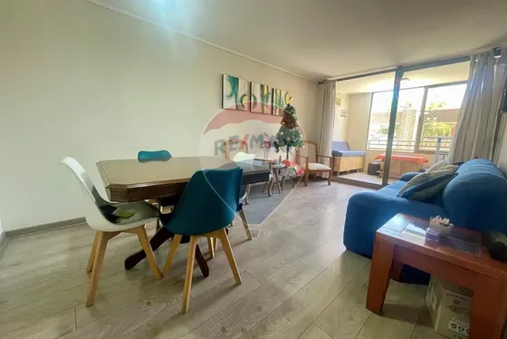 95 M² En Barrio Italia | Espacios Que Destacan